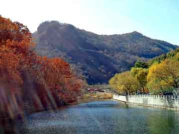 新澳天天开奖资料大全旅游团，异世之虚空龙神